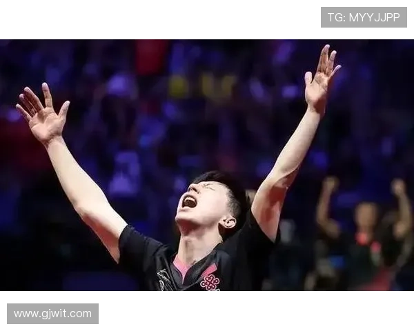 全运会特别报道：杭州羽毛球队奋勇拼搏铸就辉煌成就的历程回顾